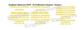 NI Confidential Telephone Numbers Type 2 - Yellow